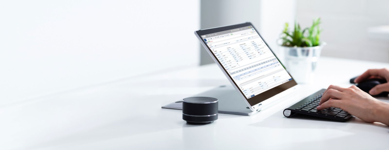 ERP UAE